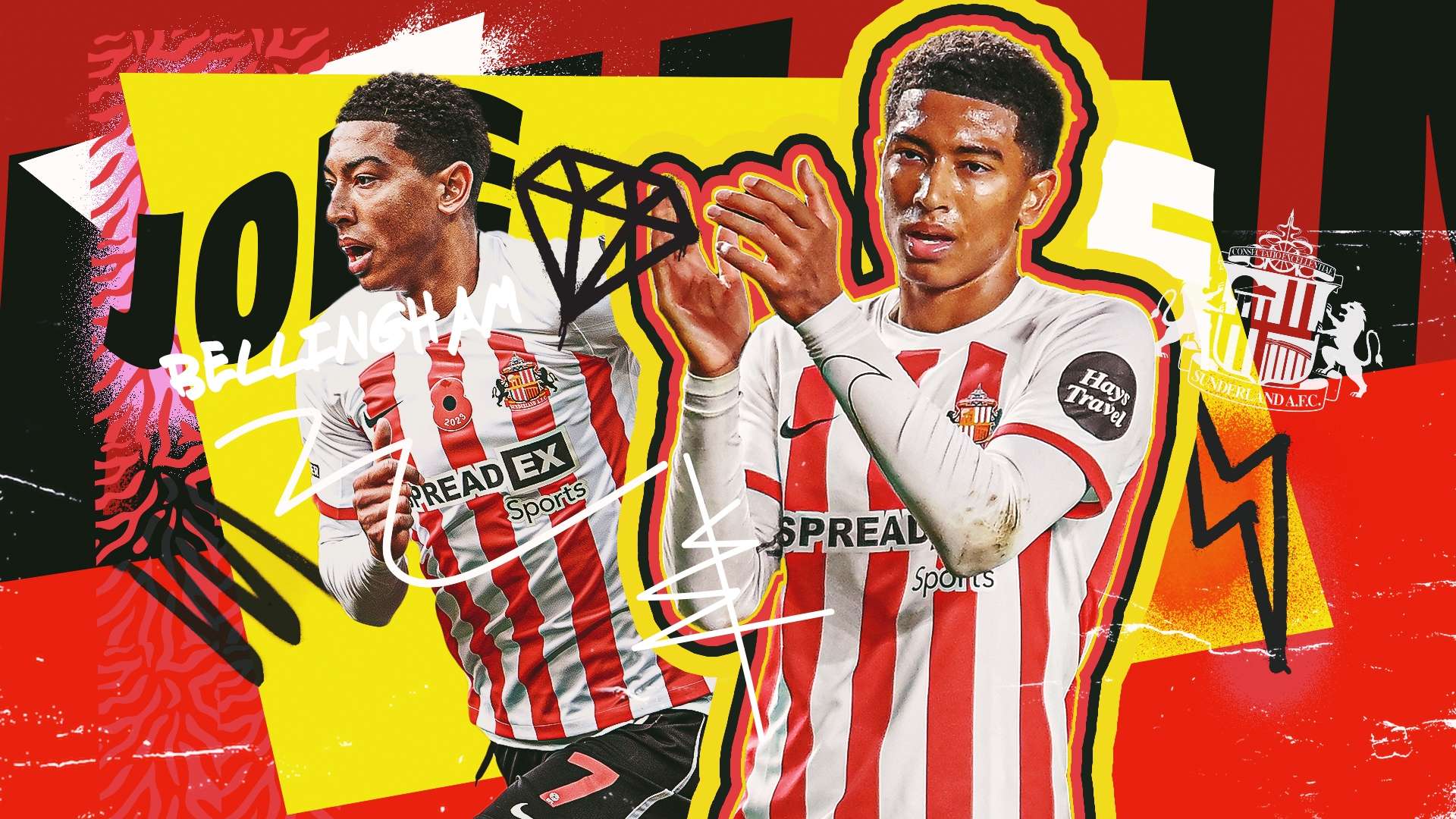 破繭化蝶的 破繭化蝶的