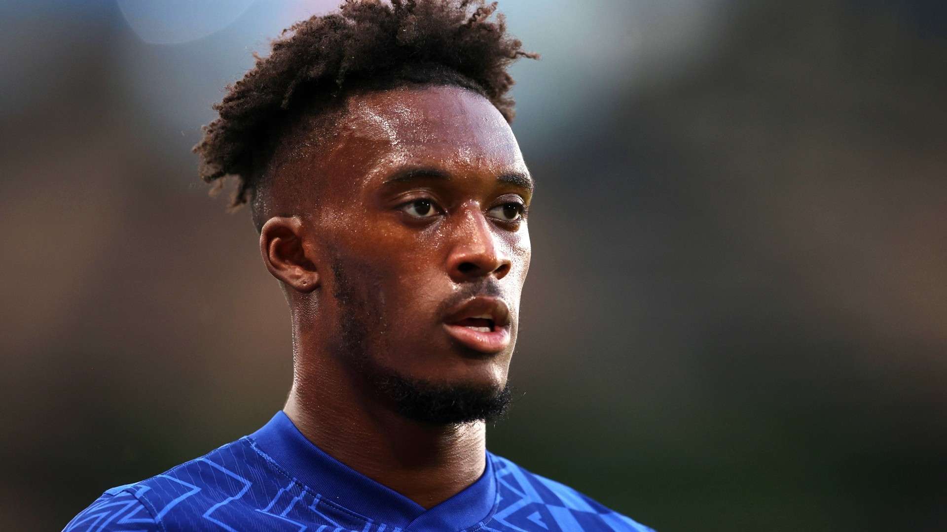 经纪人在转 经纪人在转