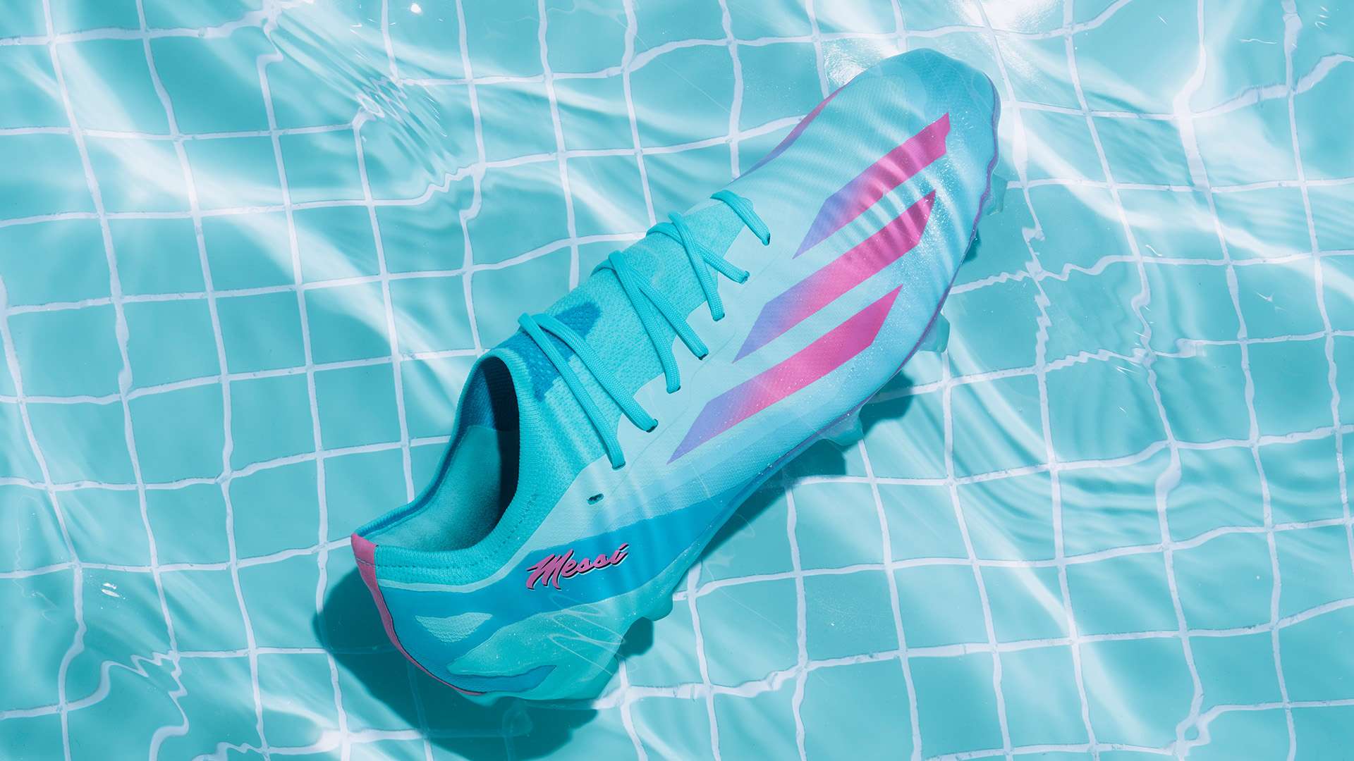 在伊布的眼 在伊布的眼