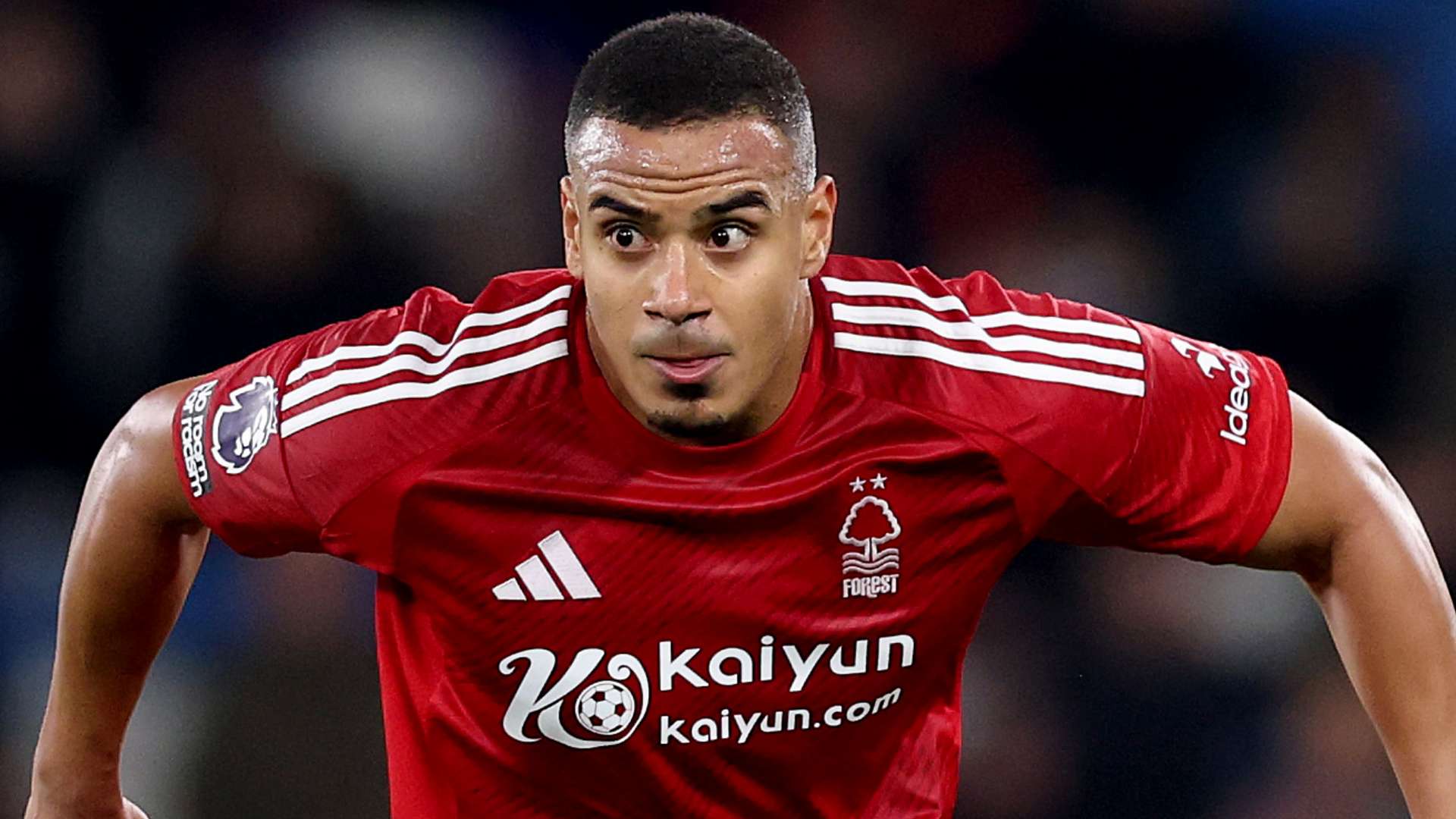 埃里克森 埃里克森