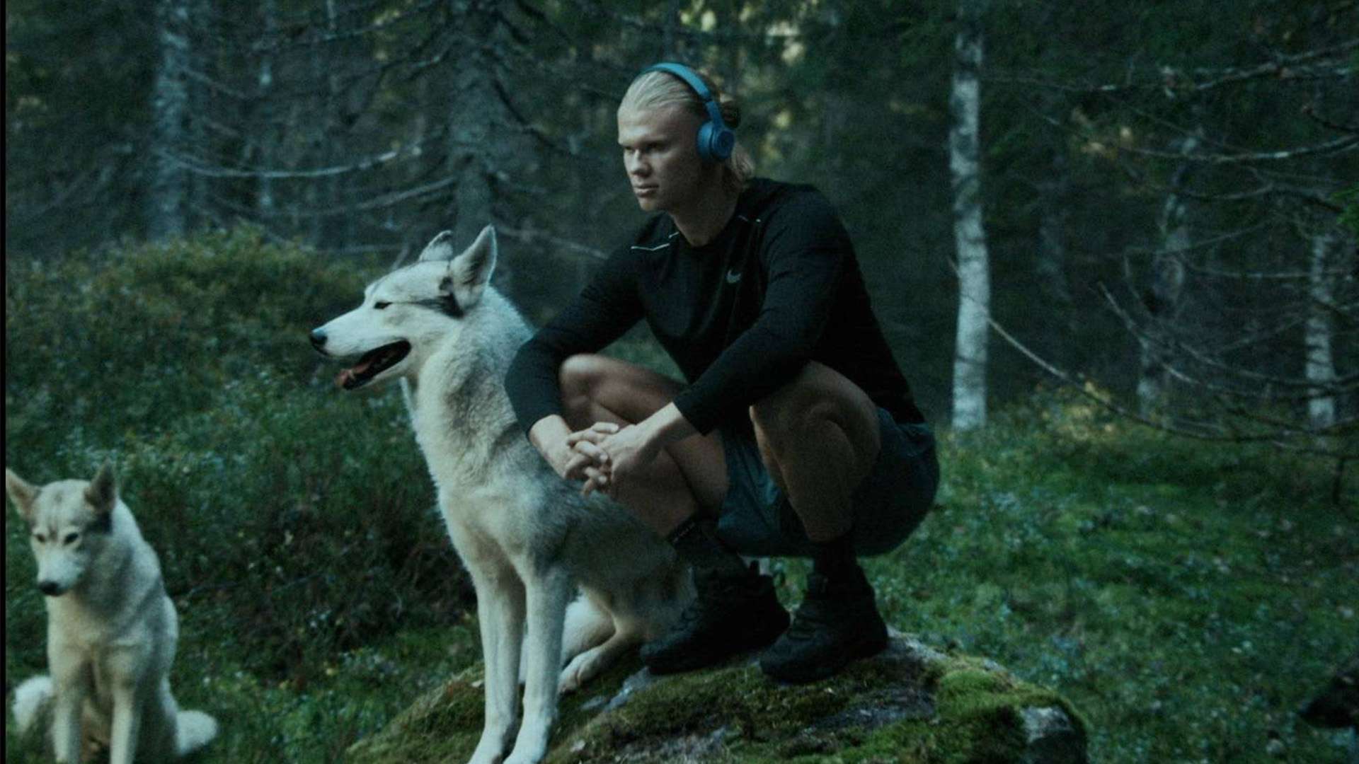 文图斯中得 文图斯中得