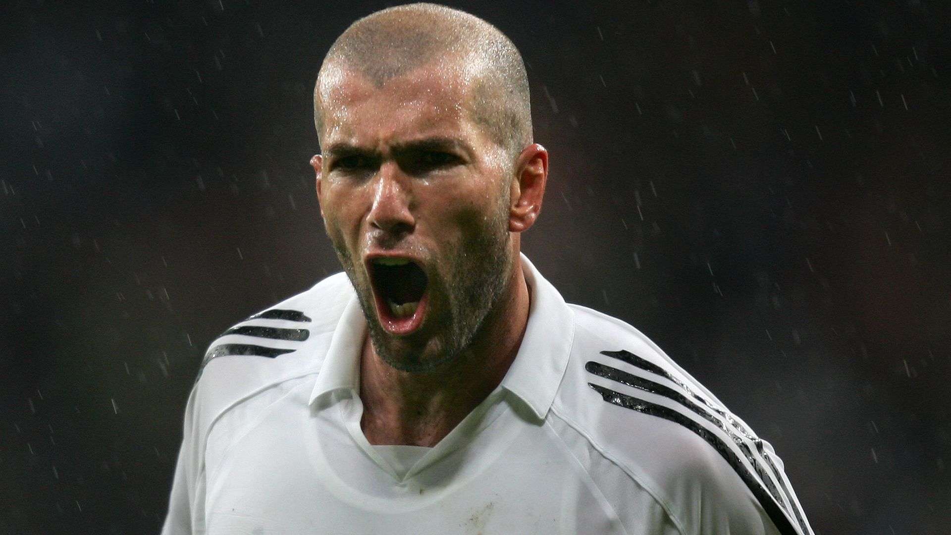 過度依賴核 過度依賴核